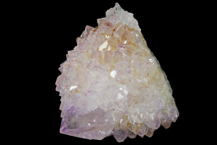 Cactus Quartz (Amethyst) Crystal - South Africa #132463